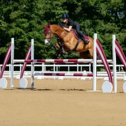 LeMieux - Tapis de selle Close Contact Square bordeaux