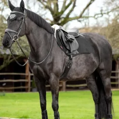 LeMieux - Tapis de selle EuroJump Merino + noir/ naturel