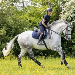 LeMieux - Tapis de selle GP Work marine