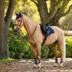 LeMieux - Tapis de selle Mixte Square suédine marine/ cranberry