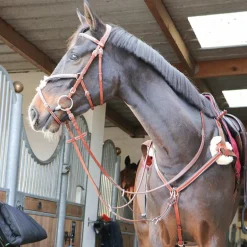 Lexington - Collier De Chasse 5 Points