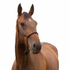 Licol éthologique doux noir