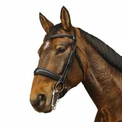 Norton - Bride Basal noir