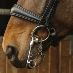 Norton - Bride Basal noir