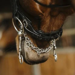 Norton - Bride Basal noir