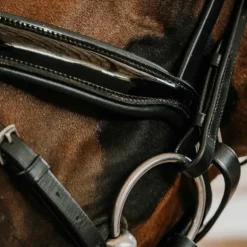 Norton - Bridon de dressage Royal noir