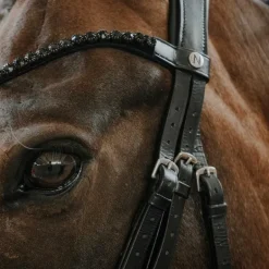 Norton - Bridon de dressage Royal noir