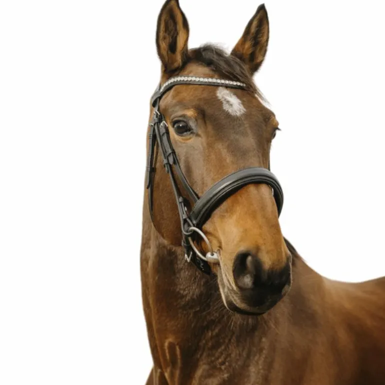 Norton - Bridon Diva noir