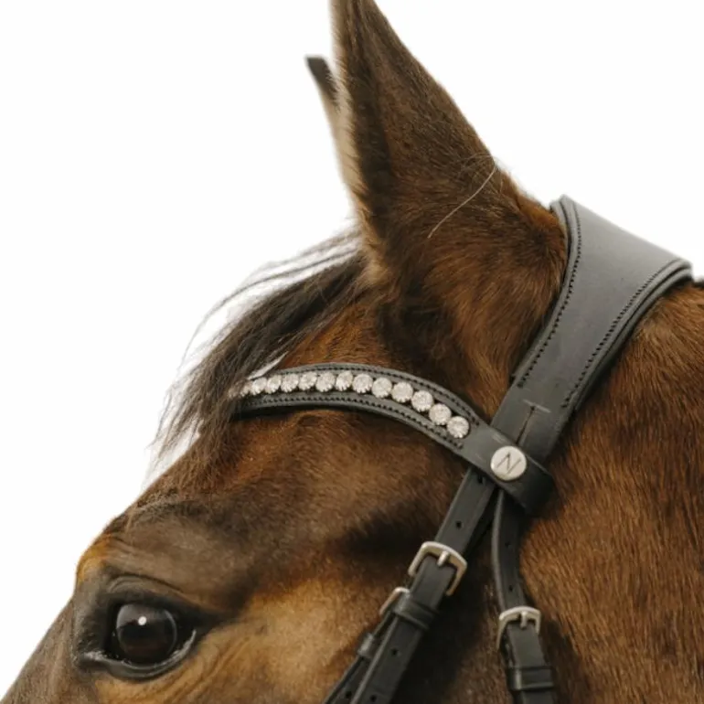 Norton - Bridon Diva noir