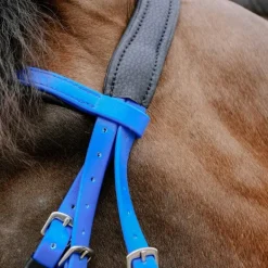 Norton - Bridon endurance Pop bleu électrique