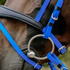 Norton - Bridon endurance Pop bleu électrique