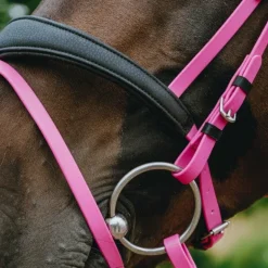 Norton - Bridon endurance Pop rose