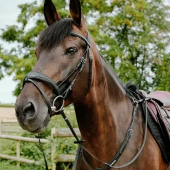 Norton - Bridon endurance Pop noir