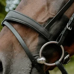 Norton - Bridon endurance Pop noir