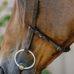 Norton - Bridon Freedom noir