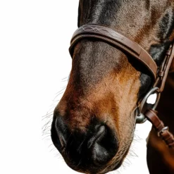 Norton - Bridon Hunter Comfy havane