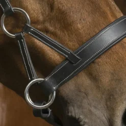 Norton - Bridon Side pull "PRO" confort noir