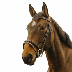 Norton - Bridon Strass V havane