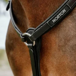 Norton - Collier de chasse endurance Pop noir