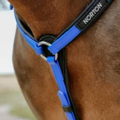 Norton - Collier de chasse endurance Pop bleu électrique