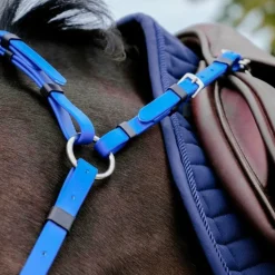 Norton - Collier de chasse endurance Pop bleu électrique