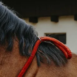 Norton - Cordelette/ Collier éthologique noir