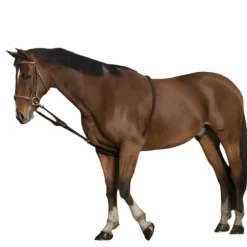 Norton - Enrênement extenseur doux marron