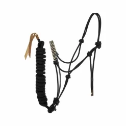 Norton - Ensemble licol éthlogique et longe Deco noir/ beige