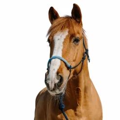 Norton - Ensemble licol éthologique et longe Suède marine/ bleu