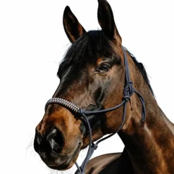 Norton - Ensemble licol éthlogique et longe Deco marine/ beige