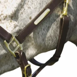 Norton - Licol à double réglage havane