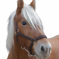 Norton - Licol cheval de trait "PRO" brun