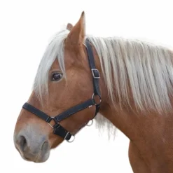 Norton - Licol cheval de trait "PRO" noir