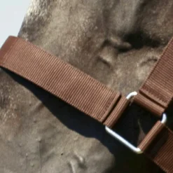 Norton - Licol cheval de trait brun