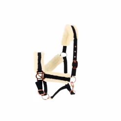 Norton - Licol Confort marine/bouclerie or rose