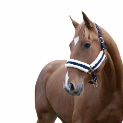 Norton - Licol Confort marine/bouclerie or rose