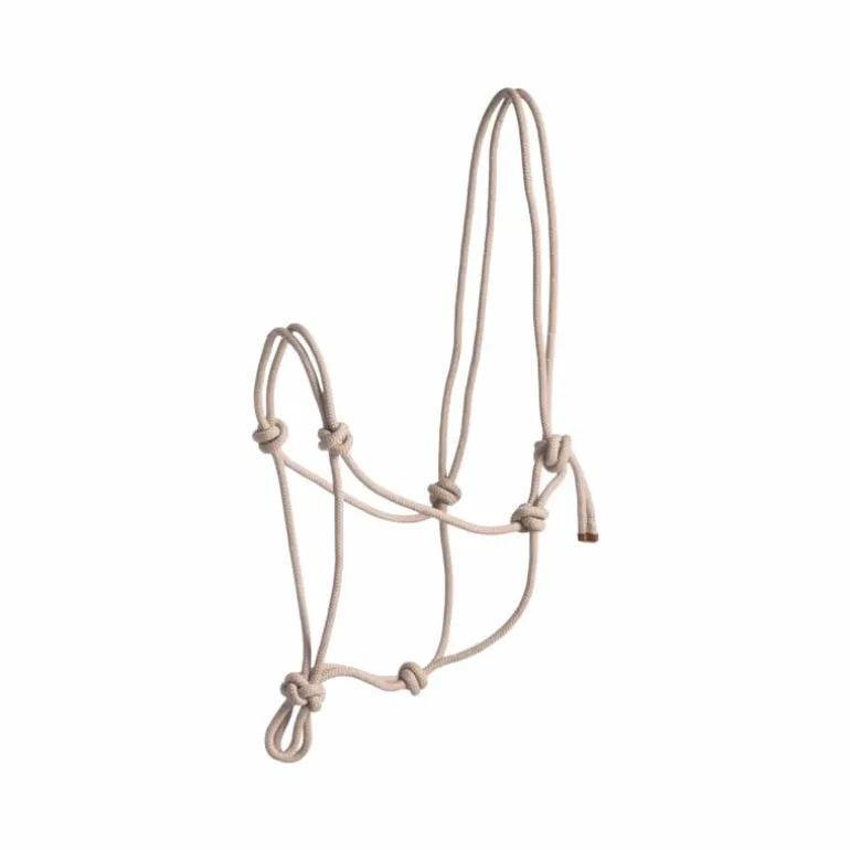 Norton - Licol corde First beige