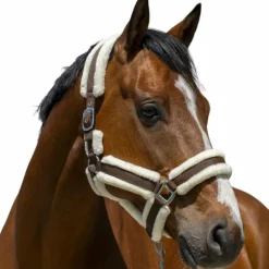 Norton - Licol Cosy chocolat