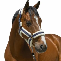 Norton - Licol Cosy marine