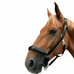 Norton - Licol cuir anatomique