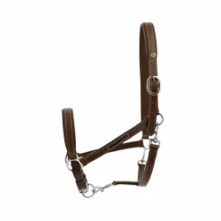 Norton - Licol cuir grooming havane