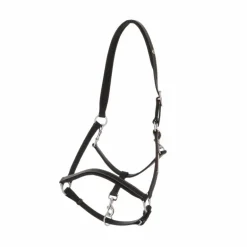 Norton - Licol cuir grooming noir