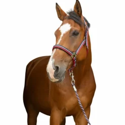 Norton - Licol et longe brillant rouge/ marine/ argenté