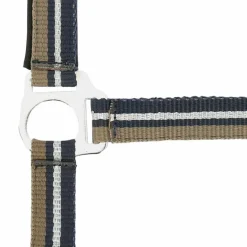 Norton - Licol et longe brillant taupe/ marine/ argenté