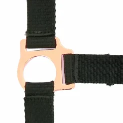 Norton - Licol et longe nylon rose gold/ noir