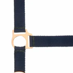 Norton - Licol et longe nylon rose gold/ marine