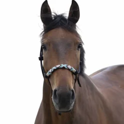 Norton - Licol ethologique pearl noir