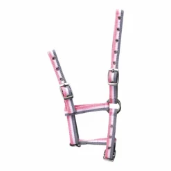 Norton - Licol foal reglable gris/rose