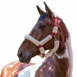 Norton - Licol full mouton synthétique rouge/ écru