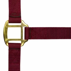 Norton - Licol nylon doublé cuir bordeaux